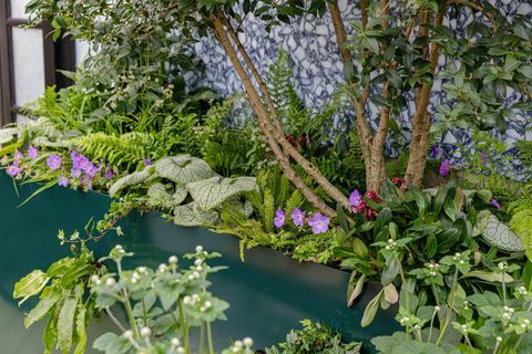 chelsea flower show 2021 sky santuario balcone giardino progettato da michael coley