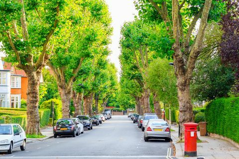 Strada fiancheggiata da alberi nel West Hampstead di Londra