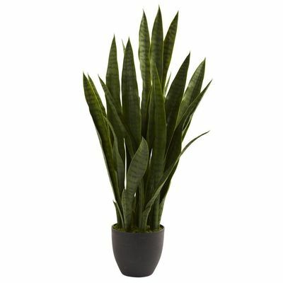 Sansevieria artificiale con fioriera nera