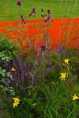 RHS Chatsworth Flower Show - bordi dei fiori