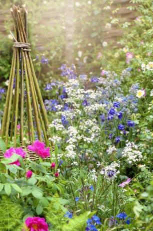 Bella vibrante aiuola inglese da giardino cottage con supporto in vimini nel sole estivo nebbioso