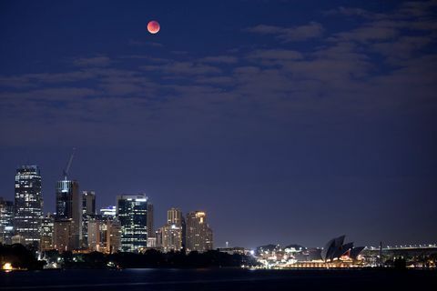 luna di sangue Sydney