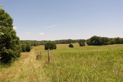 paesaggio del castello della Virginia