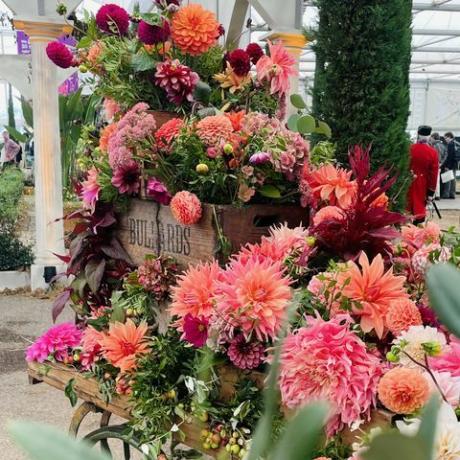 all'interno del grande padiglione al Chelsea Flower Show 2021