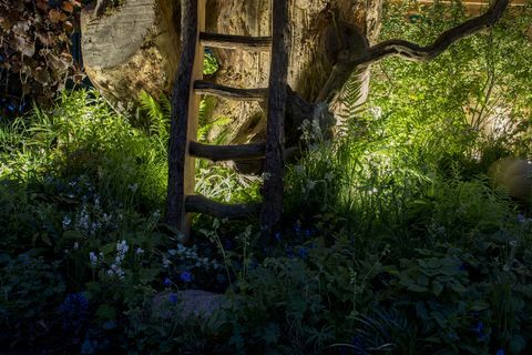 Chelsea Flower Show - Il ritorno al giardino naturale di Kate Middleton la sera, illuminazione Philips