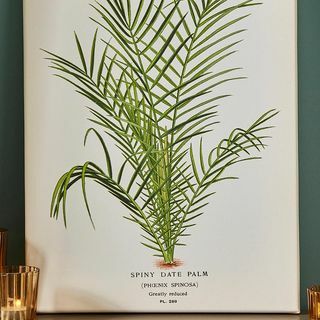 Piddix Spiny Date Palm Wall Art Spin