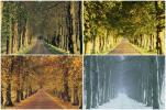 7 paesaggi totalmente trasformati dall'autunno