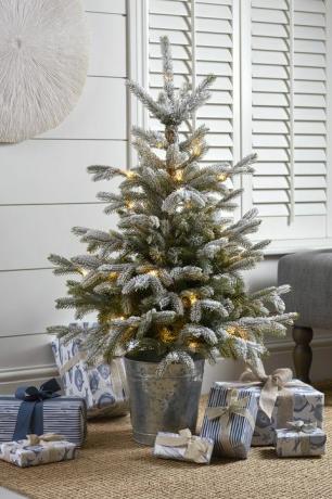 albero in vaso di pino smerigliato indoor outdoor, £ 25, cox cox