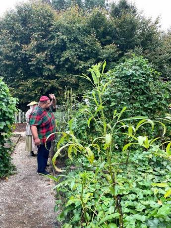 uomo in un giardino lussureggiante