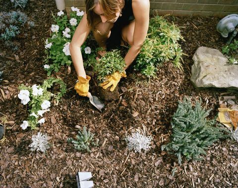 Donna che tende al giardino