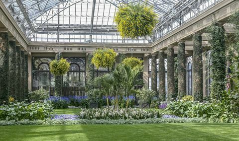 All'interno del conservatorio di Longwood Gardens, Kennett Square, Pennsylvania, Stati Uniti