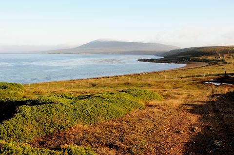 Scenario vicino Pebble Island Lodge, Pebble Island / Isole Falkland