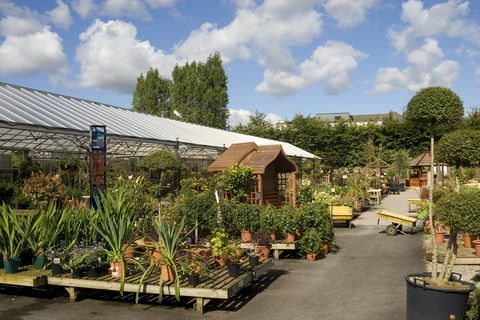 Garden Center a Knutsford, Cheshire, Regno Unito