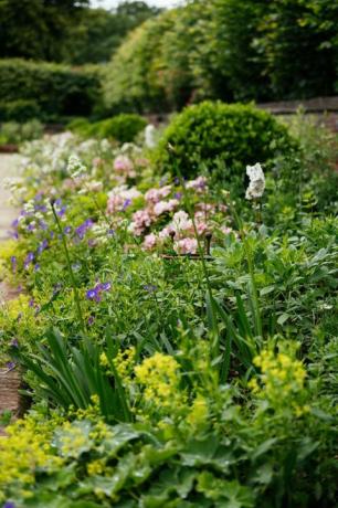 nuovo design per il giardino sommerso del kensington palace