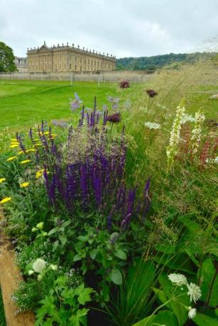 RHS Chatsworth Flower Show - bordi dei fiori