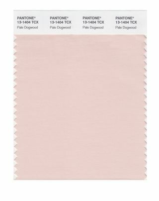 Rapporto colore moda Pantone - Primavera 2017 - Pale Dogwood