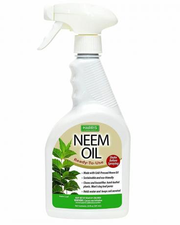 Harris Neem Oil Spray per piante, spremuto a freddo pronto all'uso, 20oz