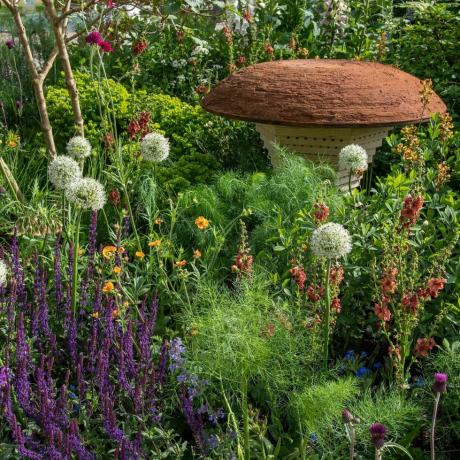 bbc studios our green planet e rhs bee garden progettato da joe swift rhs chelsea flower show 2022