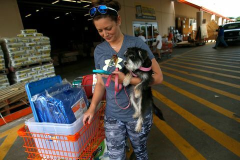 La Florida inizia a prepararsi per l'uragano Irma