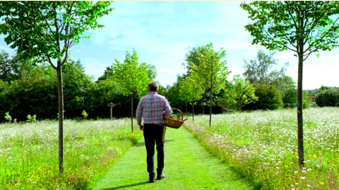 alan titchmarsh's garden nella sua casa di hampshire