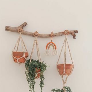 Plant Hanger