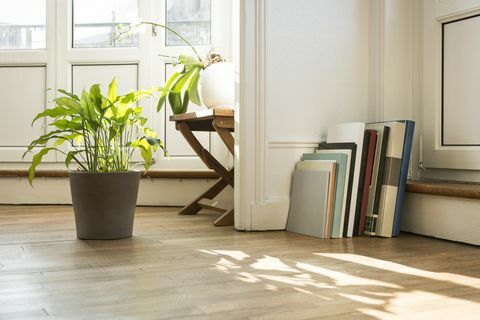 Piante verdi e libri d'arte sul pavimento di parquet, Nancy, Francia