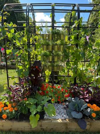 she grows veg get up and grow commestible garden, allotment zone hampton court palace garden festival 2021