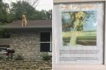 Il segno di questa famiglia spiega perché il loro cane ama sedersi sul tetto
