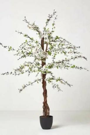 Albero in fiore artificiale con fiori di seta bianca