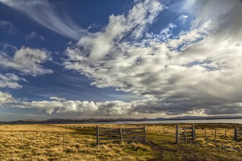 Recinzione e nuvole nella luce del tardo pomeriggio, Pebble Island, Isole Falkland