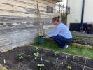 Il nuovo progetto floreale vede gli inglesi coltivare fiori per i vicini anziani