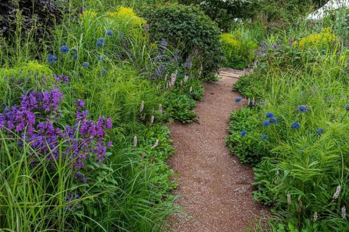 rhs garden for a green future progettato da jamie butterworth hampton court palace garden festival 2021