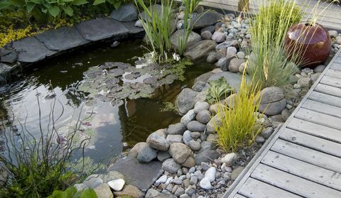 Un piccolo stagno e un patio con una zona salotto in un giardino.