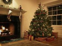 Reale contro Alberi di Natale finti: qual è quello adatto alla tua casa?