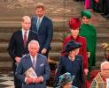 Il principe Harry e il principe William "Blindside" di Camilla Queen Consort Title