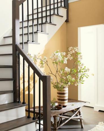 Benjamin Moore 2021 tavolozza delle tendenze dei colori