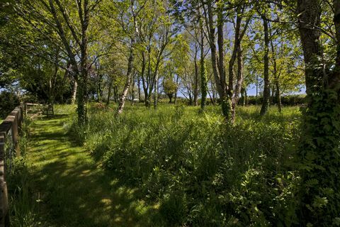 casale storico in vendita nel parco nazionale di Dartmoor