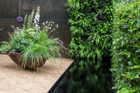 chelsea flower show 2021 giardini container