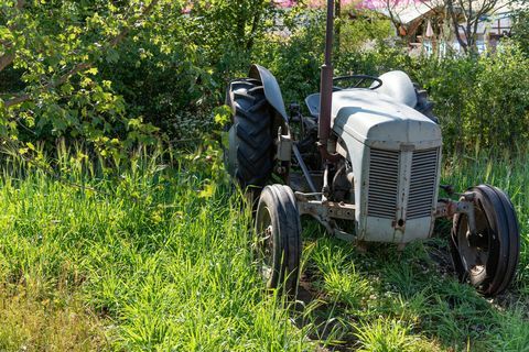 Giardino del 30 ° anniversario di Countryfile. Progettato da: Ann-Marie Powell. Giardino delle caratteristiche. RHS Hampton Court Palace Flower Show 2018