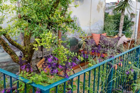 chelsea flower show 2021 arcadia balcone giardino