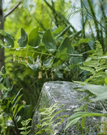 chelsea flower show 2022 il giardino di ghiaccio del plantman progettato da john warland santuario garden