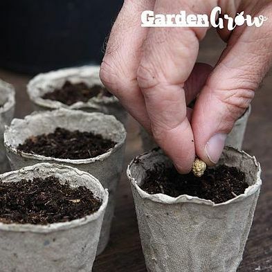 Vasi da coltivazione in fibra da giardino