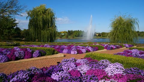 8 bellissimi tour dei giardini virtuali in tutto il mondo