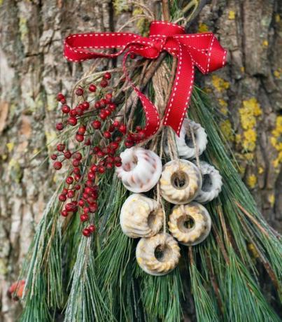 rami di albero di natale con mini ciambelle di arachidi fatte in casa appese in giardino