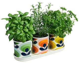 Orla Kiely 70's Flower Herb Vots, set di 3