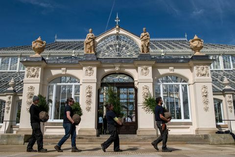 La casa temperata recentemente rinnovata di Kew Garden riapre al pubblico