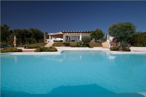 villa dalia - Ibiza - piscina - Zoopla