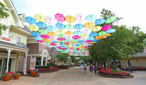 atmosfera da festival di fiori e cibo a dollywood a pigeon forge, tn, su 62120 © curtis hilbun dollywood