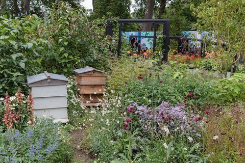la zona di mitigazione del giardino rhs cop26 progettata da marie louise agius, balston agius presenta il giardino rhs chelsea flower show 2021 stand n. 327