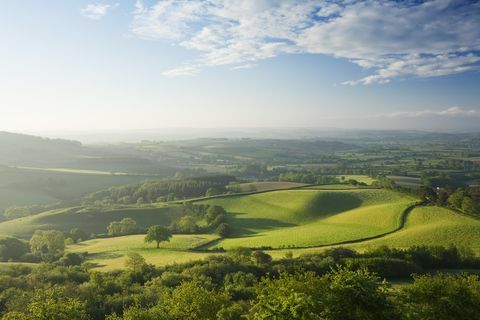 The Marshwood Vale da Pilsdon Pen Dorset England Regno Unito